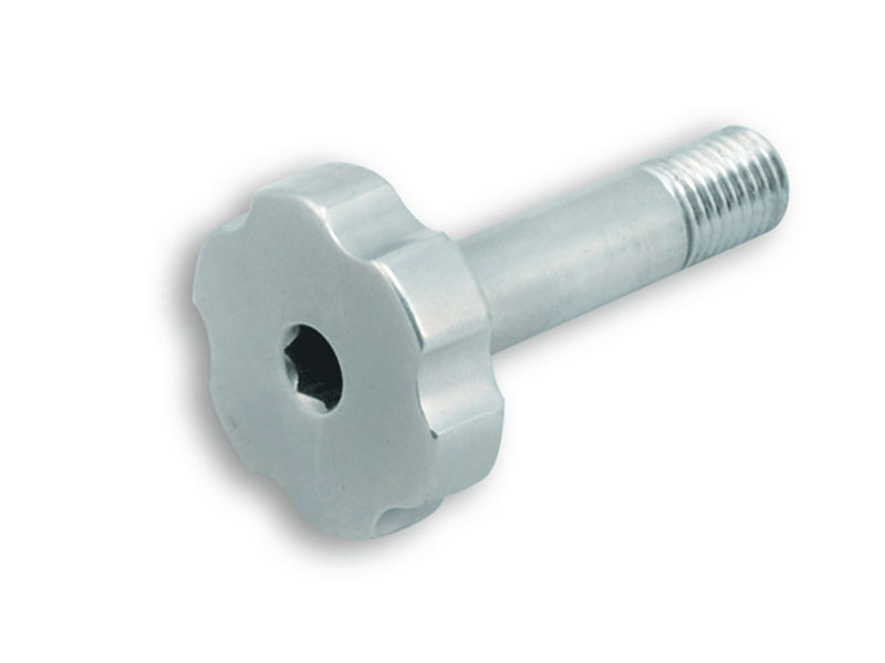 Connecting Screw