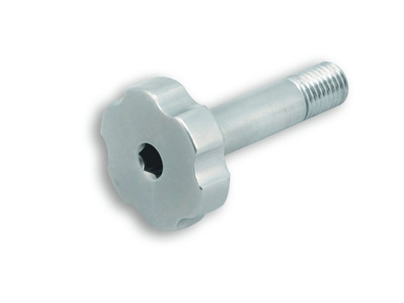 Connecting Screw