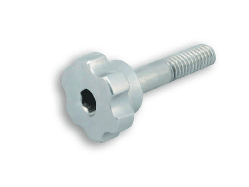 Connecting Screw